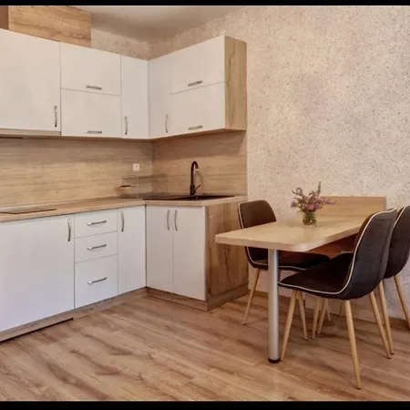 Apartment студио дани